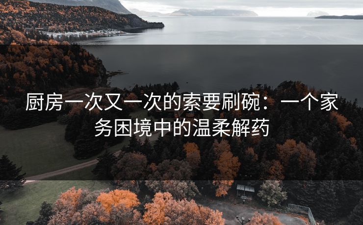 厨房一次又一次的索要刷碗：一个家务困境中的温柔解药