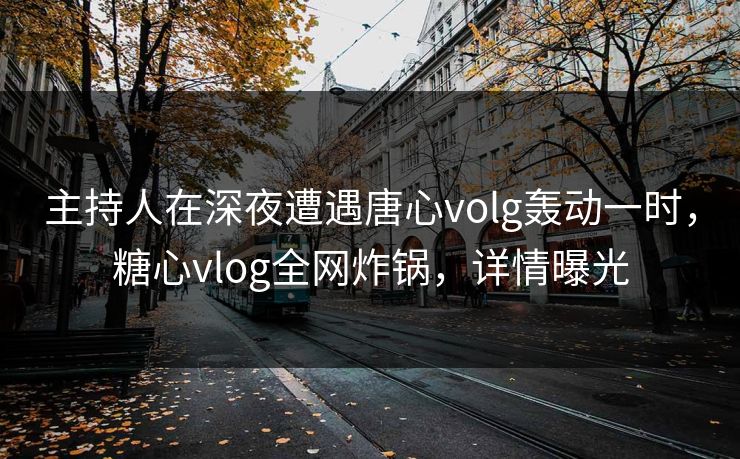 主持人在深夜遭遇唐心volg轰动一时，糖心vlog全网炸锅，详情曝光